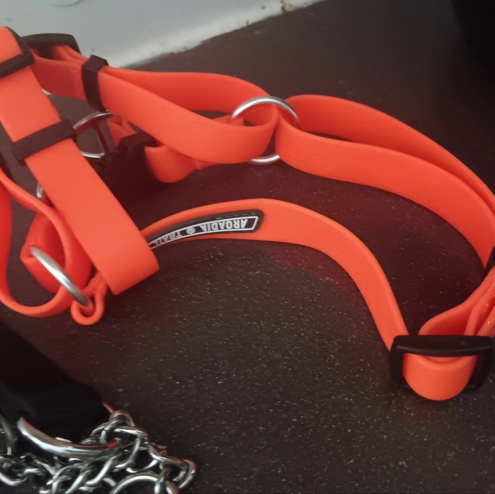 Harnesses - Picture 10 of 16